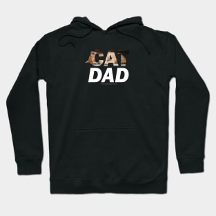 CAT DAD - ginger cat oil painting word art Hoodie